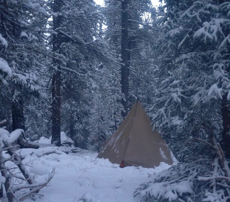 Elk Hunting, Meeting a Foxy Lady