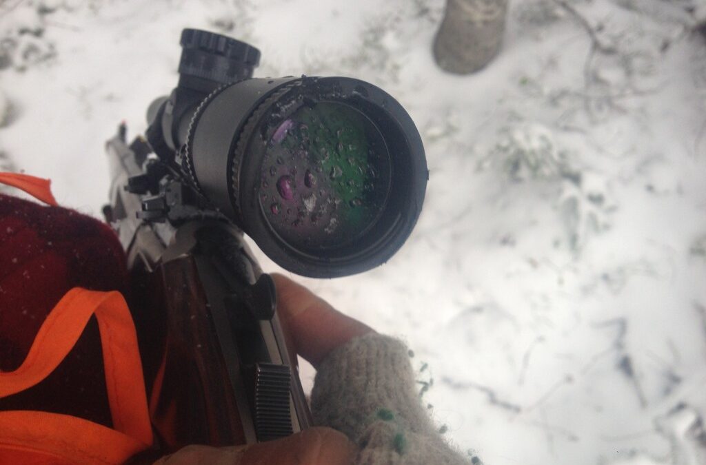 Expensive Vs Affordable Spotting Scope Comparison