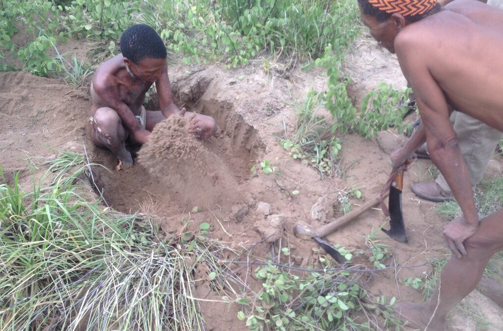 Kalahari Survival Guide: The Bushmen Axe